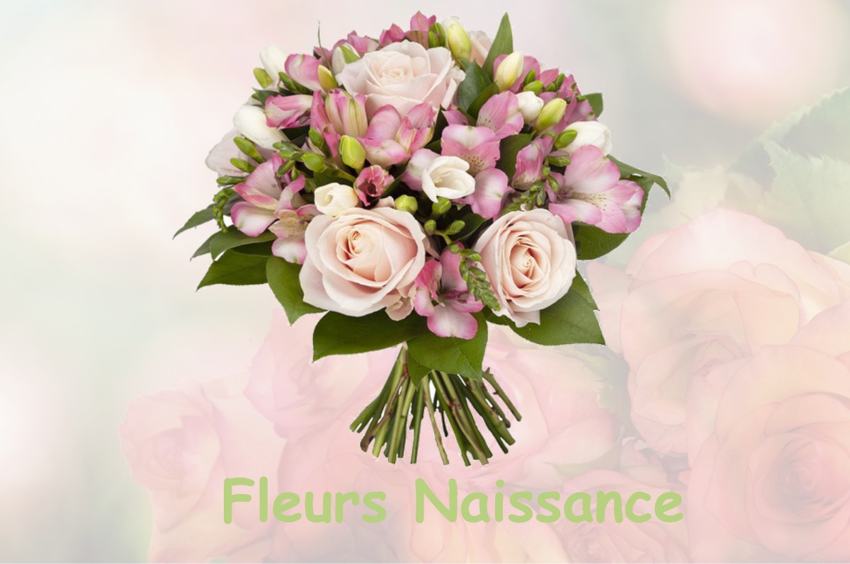 fleurs naissance SAINT-ANDRE-EN-ROYANS