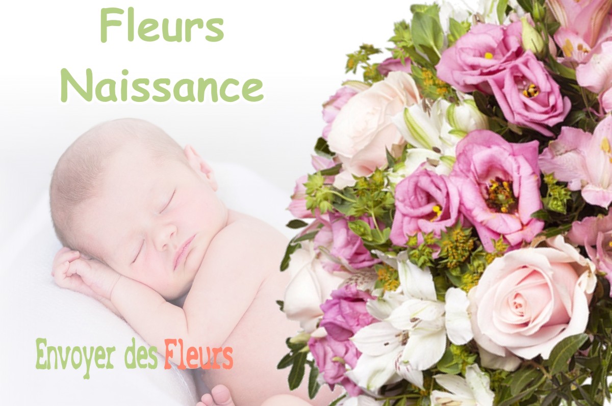 lIVRAISON FLEURS NAISSANCE à SAINT-ANDRE-EN-ROYANS